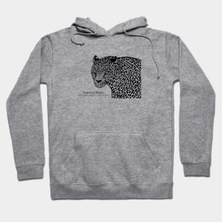 Amur Leopard with Common and Scientific Names - animal design Hoodie